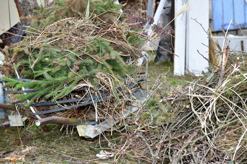 Top Rated Products for Tree Removal and Brush Clearing