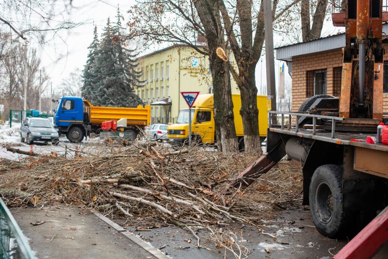 Tree Removal And Brush Clearing