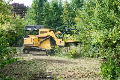 Experienced Land Clearing Crew