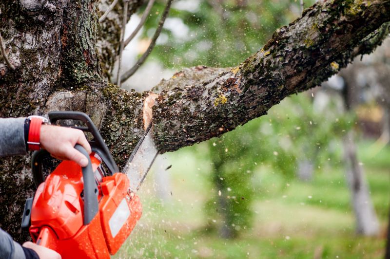 Products For Tree Removal And Brush Clearings in use
