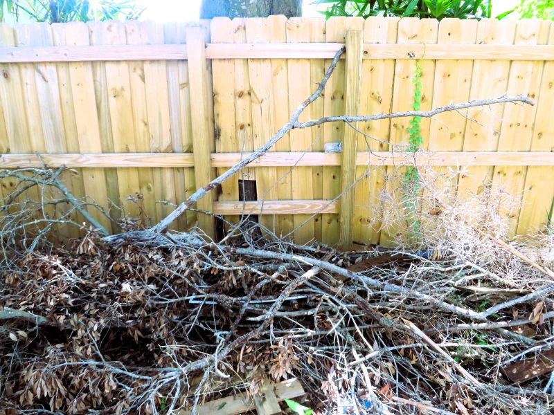 Tree Removal And Brush Clearing