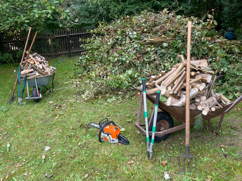 Tree Removal And Brush Clearing