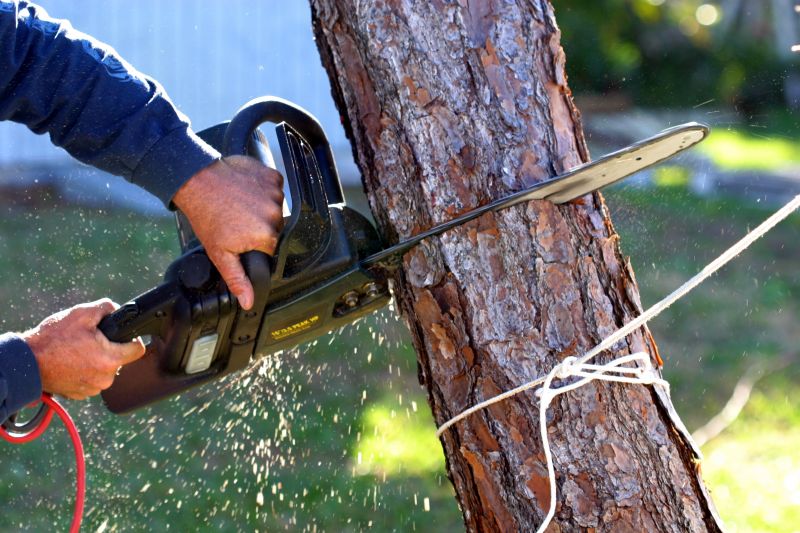 Specialized Tree Service Contractors